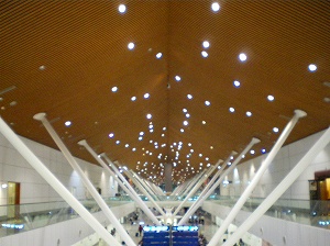 b0056570_0361145.jpg
