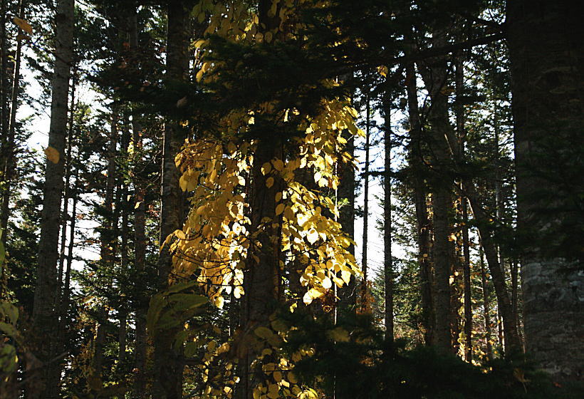 c0112479_23482836.jpg