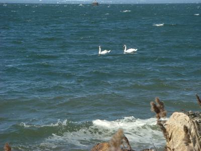 d0100880_1059346.jpg