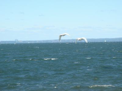d0100880_110827.jpg