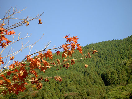 f0039487_15501187.jpg