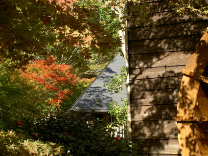 f0039487_15504970.jpg