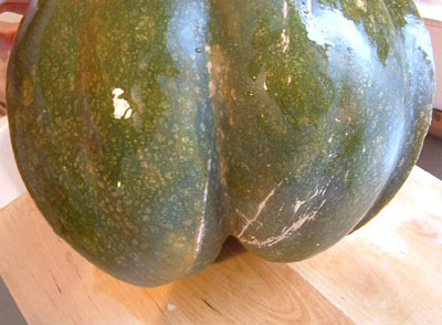f0139994_16497.jpg