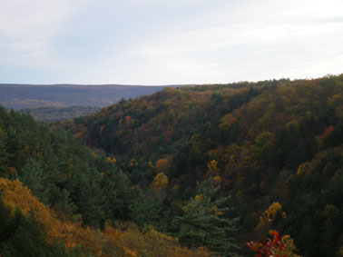 Bushkill Falls_c0061496_10163223.jpg