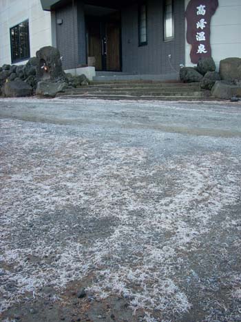 e0120896_716161.jpg