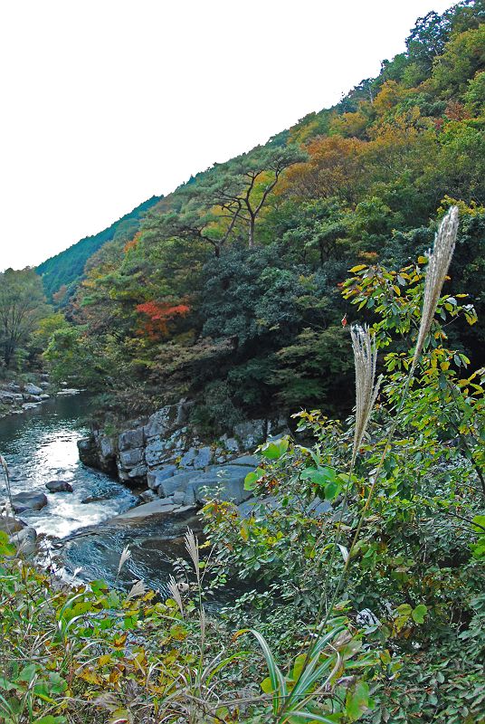 b0021897_23311421.jpg