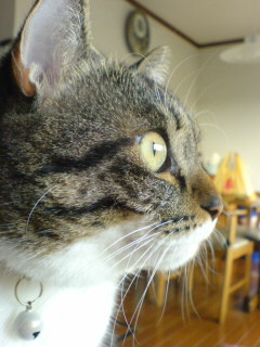 c0035001_23183722.jpg