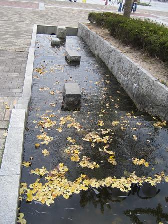 c0146301_955587.jpg