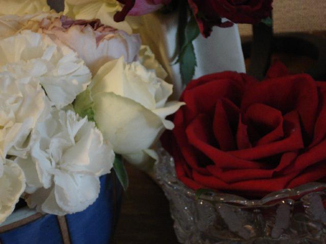 f0084806_18214635.jpg