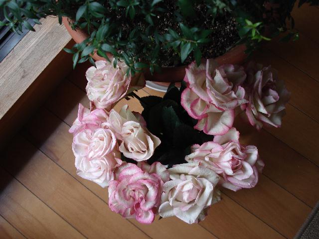 f0084806_1842775.jpg