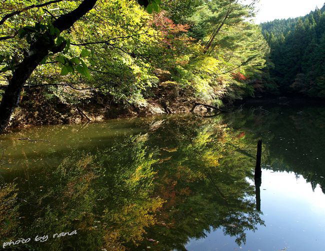 紀伊山地の霊場と参詣道（熊野古道）・・・【１】_d0129108_21204852.jpg