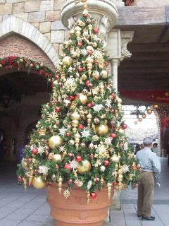 f0040310_16222178.jpg
