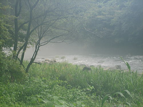 d0070316_1736148.jpg