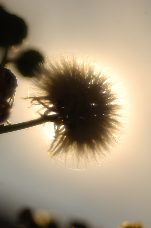 a0059621_010888.jpg