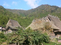 e0009324_2002688.jpg