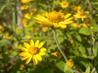 e0009324_2005636.jpg
