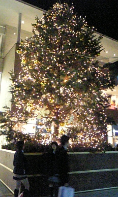 c0141025_453020.jpg