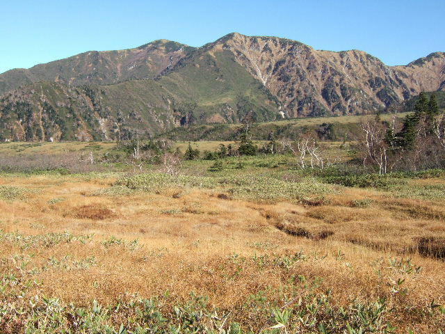 e0064133_0221036.jpg