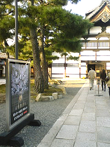 龍谷大学の帰りに、秋の京都を満喫♪まず建仁寺 #235_e0068533_161207.jpg