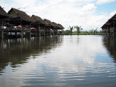 a0023740_1084417.jpg
