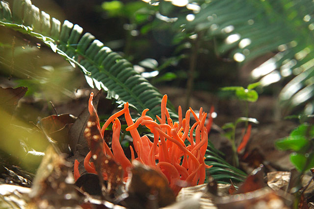 c0067040_2243246.jpg