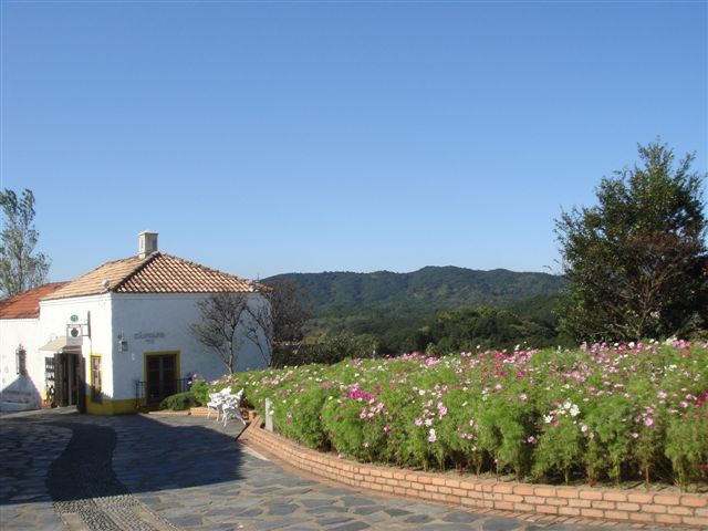 e0067640_0312025.jpg
