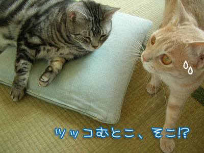 c0096342_0483760.jpg