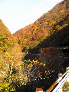 深秋の候_f0081443_22195418.jpg