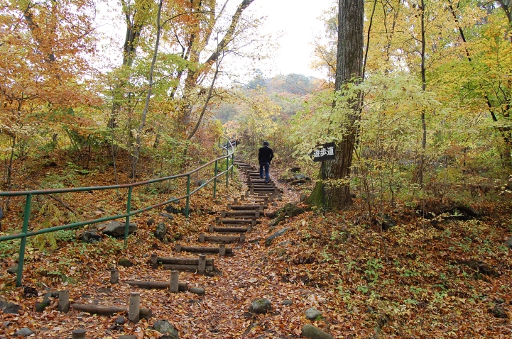 秋の夕日に照る山紅葉_a0066748_40590.jpg