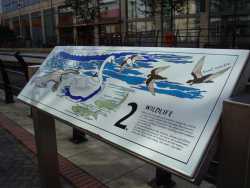 c0027849_177796.jpg
