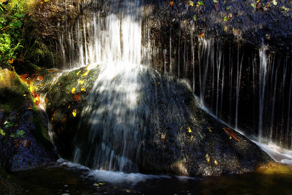 f0033856_12987.jpg
