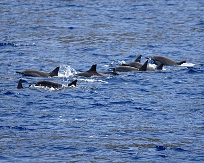 e0035757_1861054.jpg