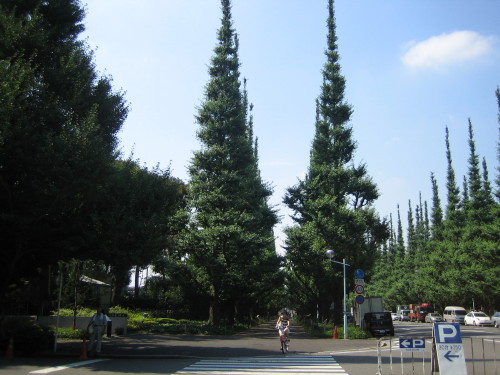 e0096563_1853517.jpg