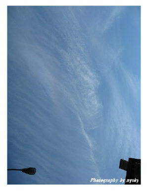 c0092467_964652.jpg