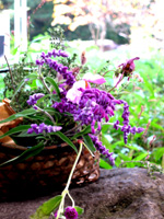 d0008073_21554979.jpg