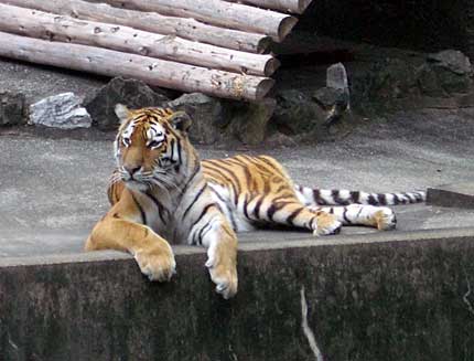 f0007676_216566.jpg