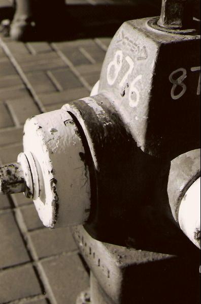 c0143579_13164.jpg