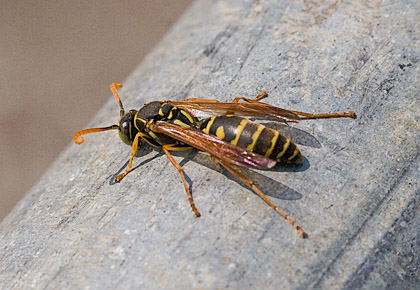 c0002682_14314339.jpg