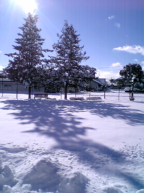 雪照り返す　今年の空のはじまり_c0146094_1613458.jpg