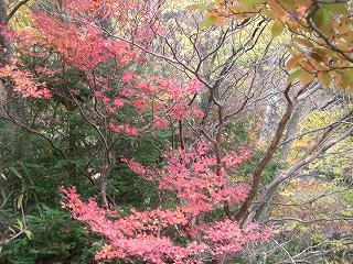 c0125501_2317492.jpg