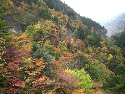 c0125501_236016.jpg