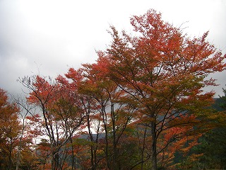 c0125501_2393599.jpg