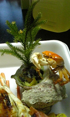 c0124809_2244219.jpg