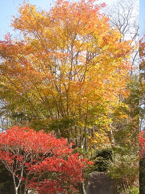 e0049409_1929759.jpg