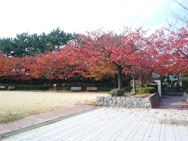 新潟市の秋_d0039111_1722034.jpg