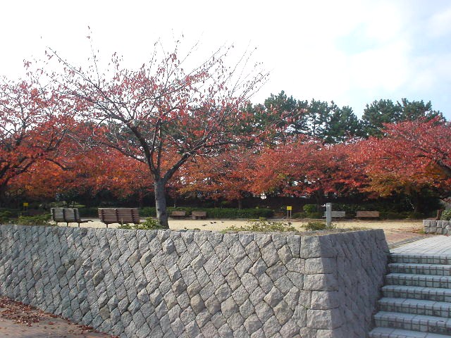 新潟市の秋_d0039111_17221993.jpg