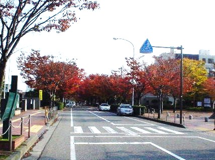 新潟市の秋_d0039111_1725430.jpg