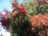 f0079111_2382537.jpg