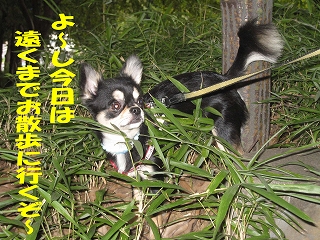 f0149420_1424663.jpg