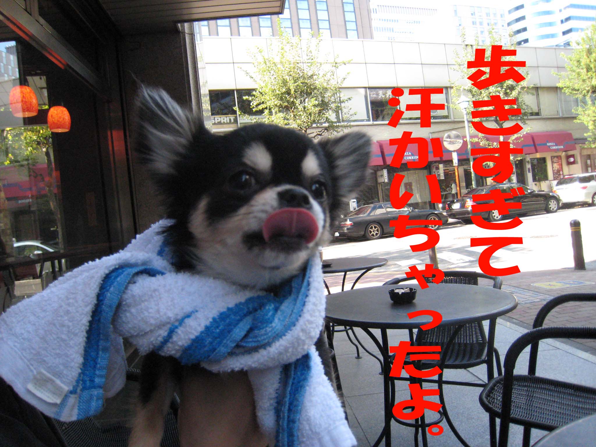 f0149420_1822279.jpg